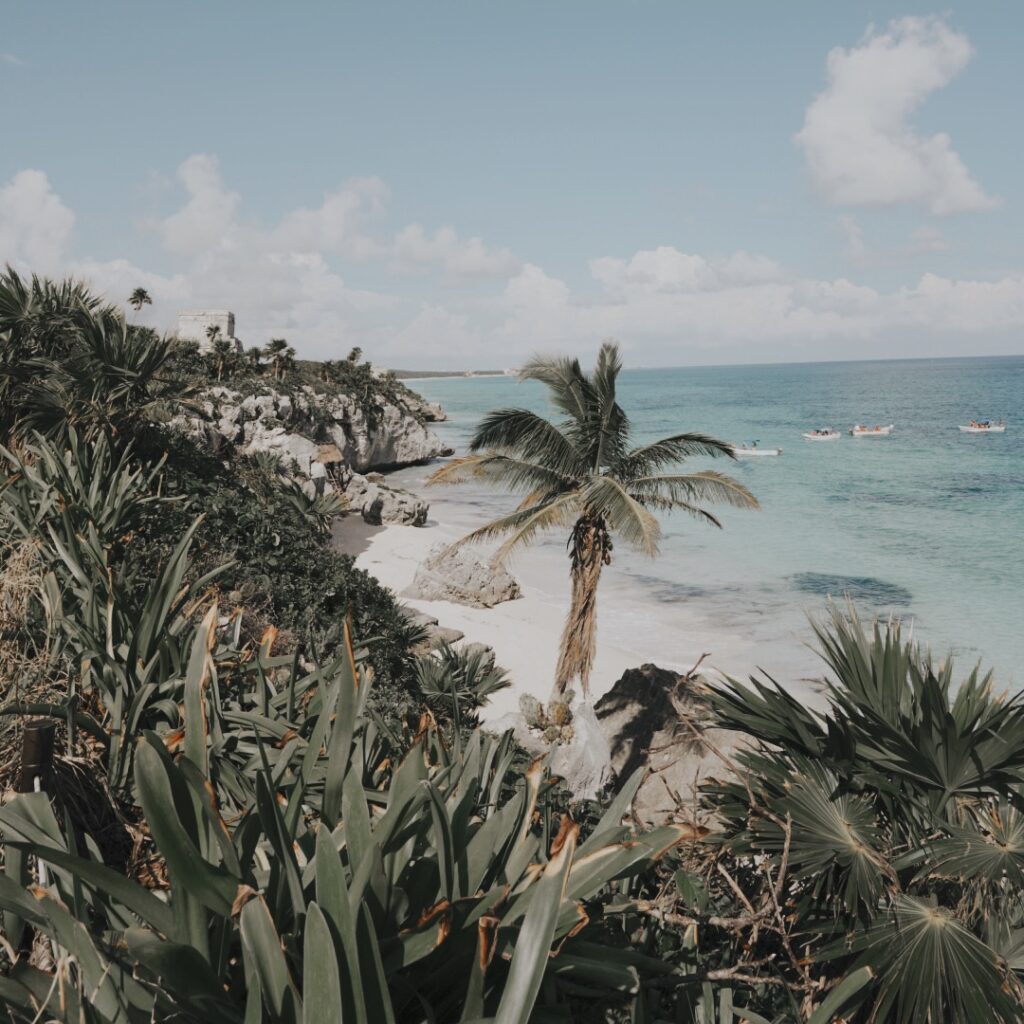 Caribbean Sea and palm tree beside the Tulum Ruins