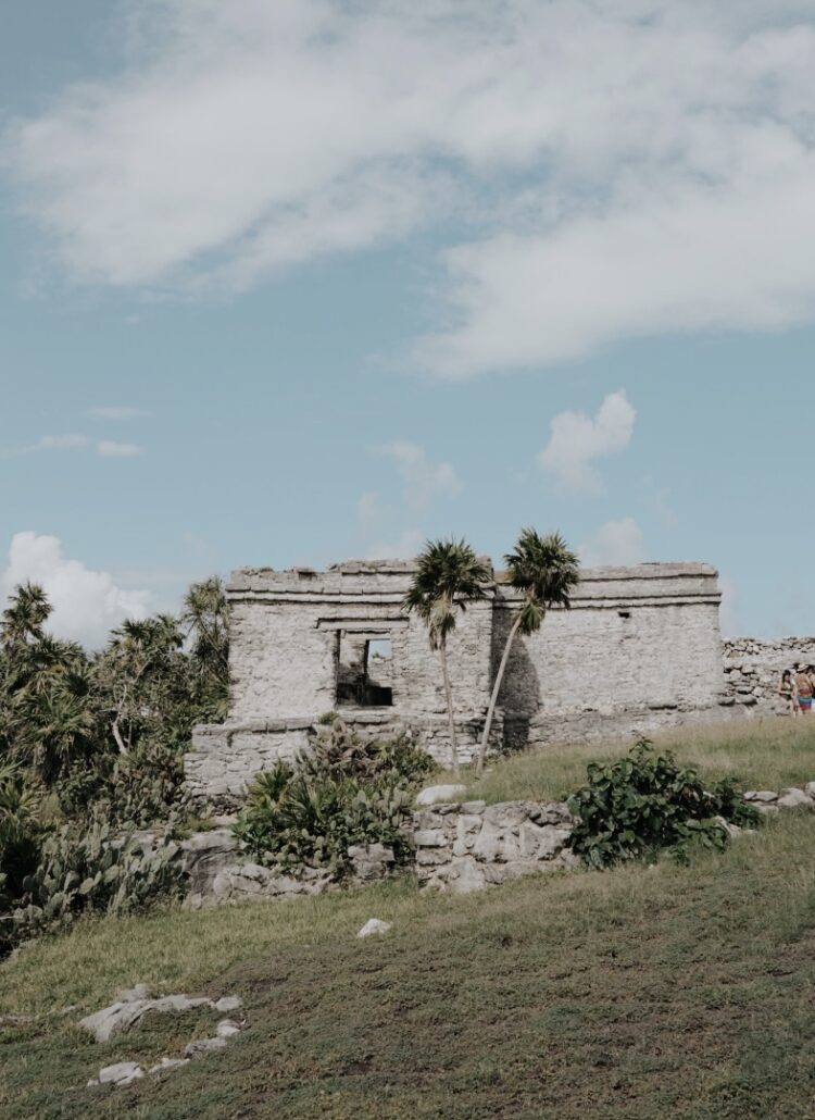 Ancient Tulum ruins with palm trees, ideal for luxury Tulum tours.