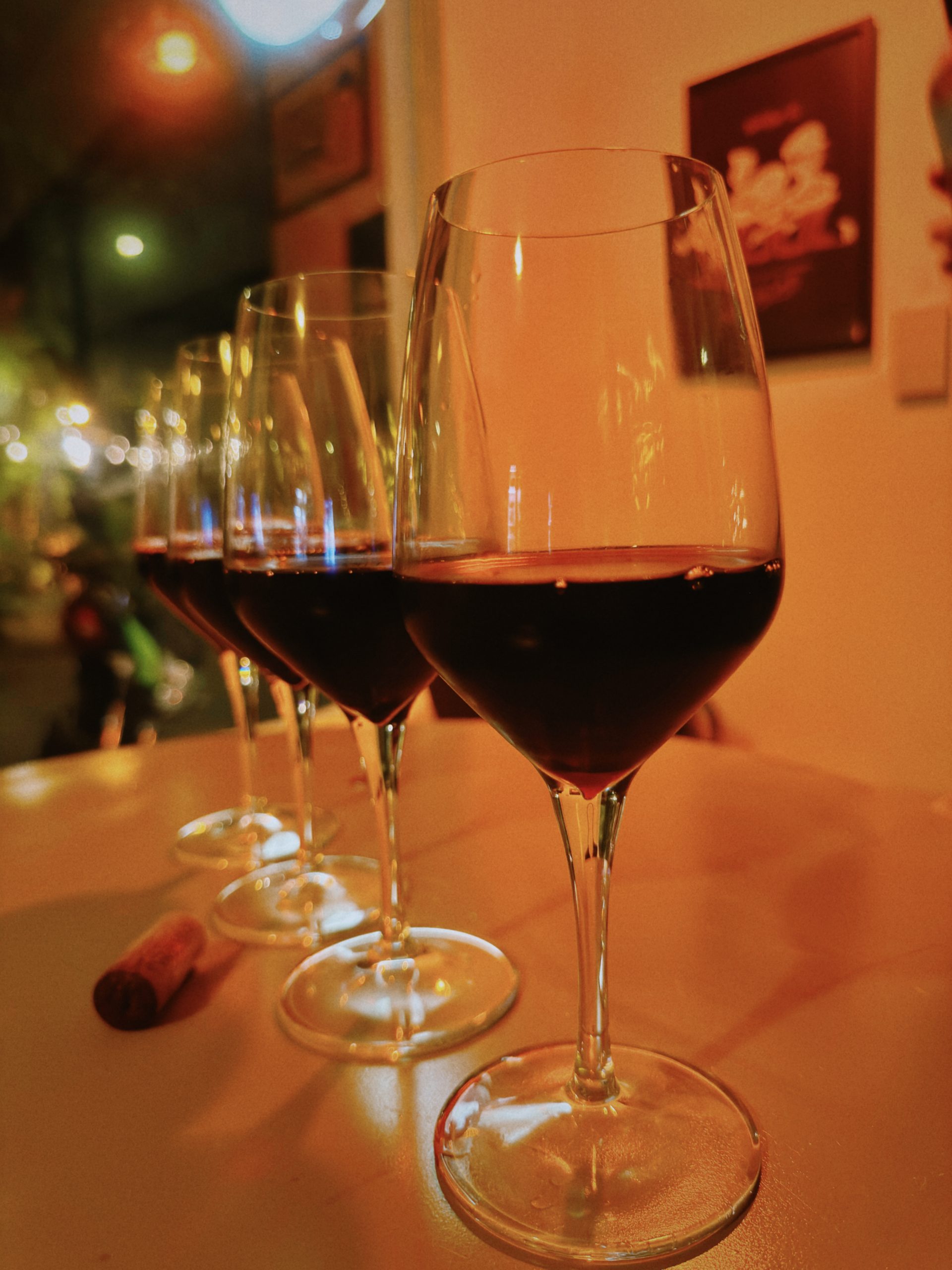 Organic wines selected for the Go Tulum Travel pizza experience